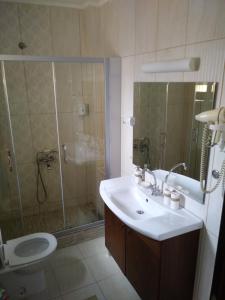 a bathroom with a shower and a sink and a toilet at Casa La Kola Krusevo in Kruševo