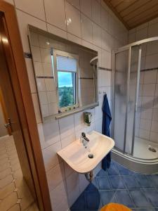 a bathroom with a sink and a shower at Schönes Doppelzimmer mit Küche und Badezimmer in Elgersburg