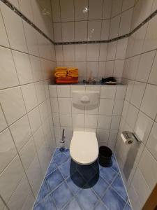 a small bathroom with a toilet with a blue floor at Schönes Doppelzimmer mit Küche und Badezimmer in Elgersburg