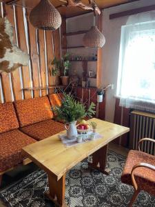 a living room with a couch and a table at Retro chata na Čupku in Metylovice
