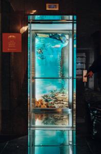 a display case with fish in the water at Hotel Hvala Superior - Topli Val in Kobarid
