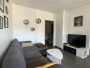 een woonkamer met een bank en een tv bij Superbe appartement centre ville in Nîmes