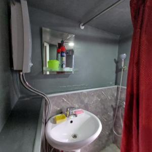 a bathroom with a sink and a mirror at Beqa house in Tbilisi City