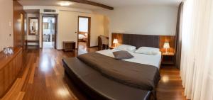 een slaapkamer met een groot bed in een kamer bij Hotel Hvala Superior - Topli Val in Kobarid
