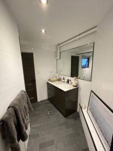 a bathroom with a sink and a large mirror at The mini New-Yorker in Sydney