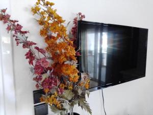 TV a/nebo společenská místnost v ubytování SOFI APARTMENT