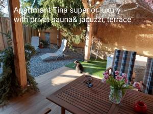 un gato sentado junto a una mesa en un patio en Hiša Ida, en Ivančna Gorica