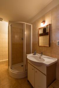 y baño con lavabo y ducha. en Penzion Vinicky dvůr, en Kaplice