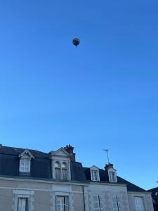 dom z ptakiem latającym nad nim w obiekcie Coeur de Blois appartement neuf w mieście Blois +2 zdjęcia