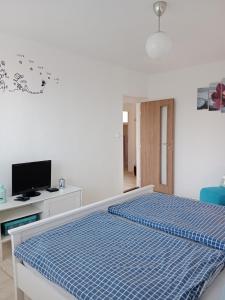 TV a/nebo společenská místnost v ubytování Villa Cihelna apartments