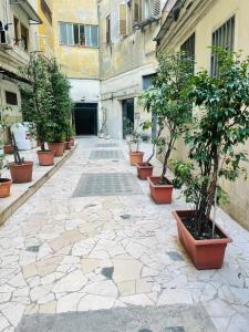 pusty dziedziniec z doniczkami w obiekcie Le Limosine w mieście Napoli