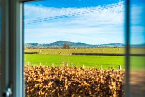 a window with a view of a field with sheep at "Woodlands" by Greenstay Serviced Accommodation - Luxury 3 Bed Cottage In North Wales With Stunning Countryside Views & Parking - Close To Glan Clwyd Hospital - The Perfect Choice for Contractors, Business Travellers, Families and Groups in Bodelwyddan