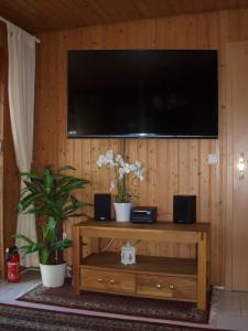 a living room with a television on a wooden wall at Ferienhaus Lefering Stiftung in Otterndorf