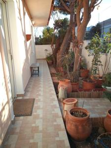 a hallway with a bunch of potted plants at Christo΄s country house¨! in Artemida