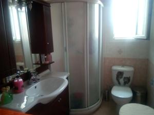 a bathroom with a shower and a sink and a toilet at Christo΄s country house¨! in Artemida