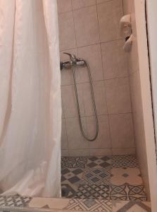 La salle de bains est pourvue d'une douche avec rideau de douche. dans l'établissement Rena's Traditional Aegean House by the Sea, à Peraia