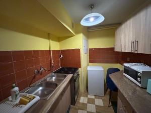 Kuchyňa alebo kuchynka v ubytovaní Apartament Mickiewicza