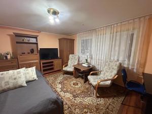 Televízia a/alebo spoločenská miestnosť v ubytovaní Apartament Mickiewicza