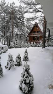 Apartman PLAY Divčibare - 2 spavaće sobe durante el invierno