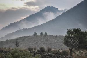 Gallery image of Beautiful 4-Bed House in Campo de Ricote in Collado de Gil