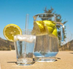 dos vasos de agua con rodajas de limón en una mesa en Beautiful 4-Bed House in Campo de Ricote en Collado de Gil