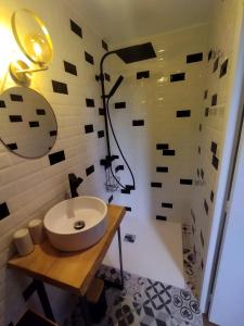 uma casa de banho com um lavatório branco e um chuveiro em Le Pressoir chambres d'hôtes em Cardaillac