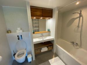 ein Bad mit einem WC, einem Waschbecken und einer Dusche in der Unterkunft ETXE LAUA in Saint-Jean-de-Luz