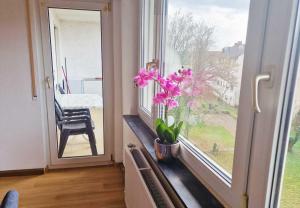 uma janela com um vaso de planta no parapeito da janela em City-Apartment Heidelberg em Eppelheim