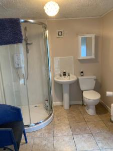 a bathroom with a shower and a toilet and a sink at Tullyard House 