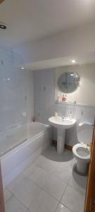 a bathroom with a toilet and a sink and a shower at Rosebank Lodge in High Bentham