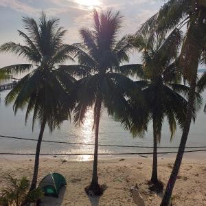 zwei Palmen und ein Zelt am Strand in der Unterkunft ISLANDS BOUTIQUE Koh Rong in Koh Rong
