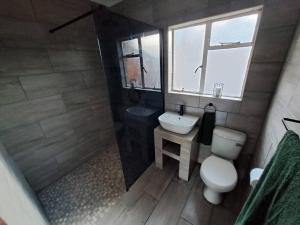 a bathroom with a toilet and a sink and a shower at Finch & Fern Guesthouse in Bloemfontein +14 photos
