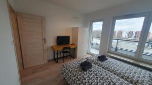 Schlafzimmer mit einem Bett, einem Schreibtisch und Fenstern in der Unterkunft Pokoje Oszmiańska in Warschau