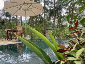 a patio with an umbrella and a table and chairs next to a pool at Sausau Garden, a pefect retreat for relaxing, close to Noi Bai airport in Sóc Sơn