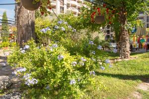 A garden outside Cascadas Holiday Apartments