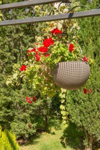 A garden outside Cascadas Holiday Apartments