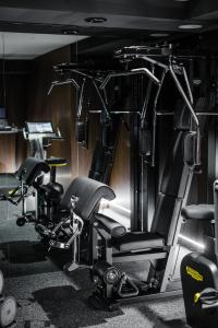 Centrul de fitness și/sau facilități de fitness de la The Amauris Vienna - Relais & Châteaux