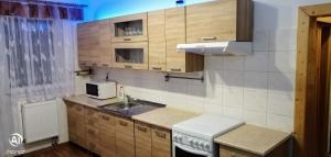 a kitchen with wooden cabinets and a sink and a microwave at Penzion Svitavy in Svitavy