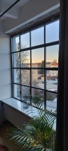 une fenêtre dans une pièce avec une plante devant elle dans l'établissement Loft 46 - Long And Shortstay, à Berlin