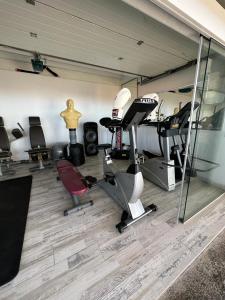 Posilňovňa alebo fitness centrum v ubytovaní Tenerife Sur Habitación de Lujo