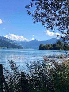 - une vue sur un lac avec des montagnes en arrière-plan dans l'établissement Lakeside Apartment for Business and Leisure incl parking space, à Cham