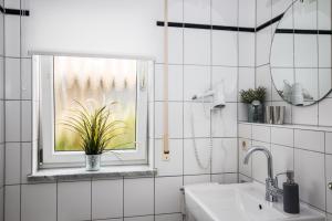 baño con lavabo y ventana con maceta. en Ferienwohnung Bernhardt, en Lindau
