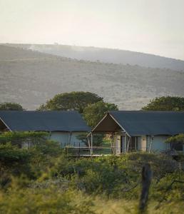 a group of houses with blue roofs in a field at Mavela Game Lodge in Manyoni Private Game Reserve