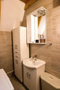 ein kleines Bad mit einem Waschbecken und einem Spiegel in der Unterkunft HILL VIEW Chalets in Žabljak