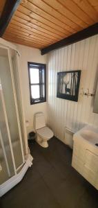 a bathroom with a toilet and a window and a sink at Smáratún Cottages & Chalets in Hellisholar