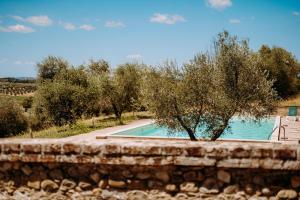 a swimming pool with a tree next to a stone wall at Villa Brignole in Montaperti