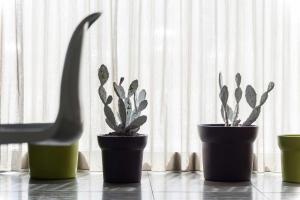 Fotografie z fotogalerie ubytování 8Piuhotel v destinaci Lecce