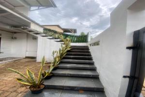 uma escada que leva a um edifício branco com plantas em EXPRESS O 92147 Nia Residence em Depok