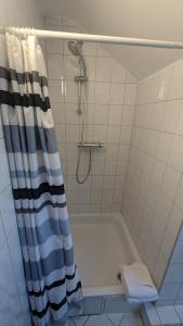 薩爾布呂肯的住宿－Europa City Apartment，浴室配有浴缸和淋浴及浴帘