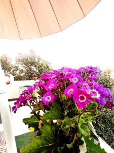 un ramo de flores púrpuras sentado bajo un paraguas en Roof for rent, Street 9, Maadi, en El Cairo